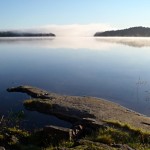 Ta med hela dig till jobbet (del 1)